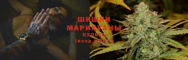 сатива Карталы