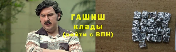 мдпв Каменка