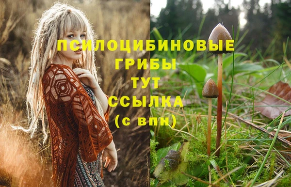 мдпв Каменка