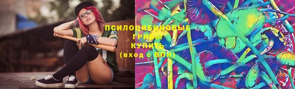 герыч Каменногорск