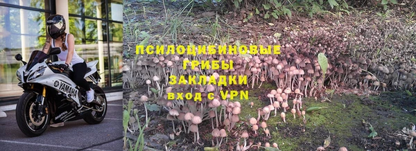 сатива Карталы