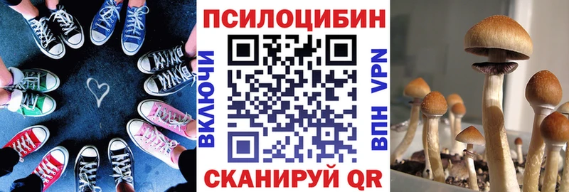 Галлюциногенные грибы прущие грибы  цены   Кириллов 